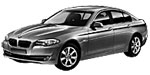 BMW F10 U3666 Fault Code